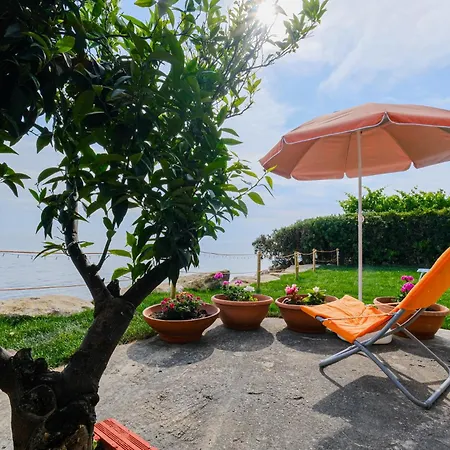 Akrogiali Beachfront House 펜션 네아 스키오니